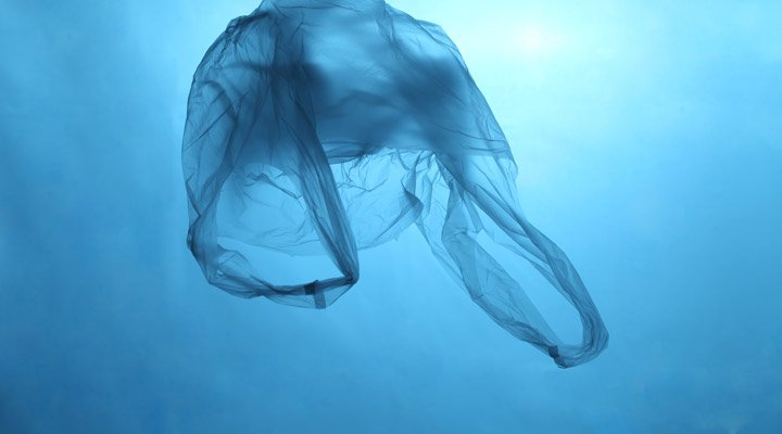 sustainability-waste-eliminating-plastic-pollution-card-bottom