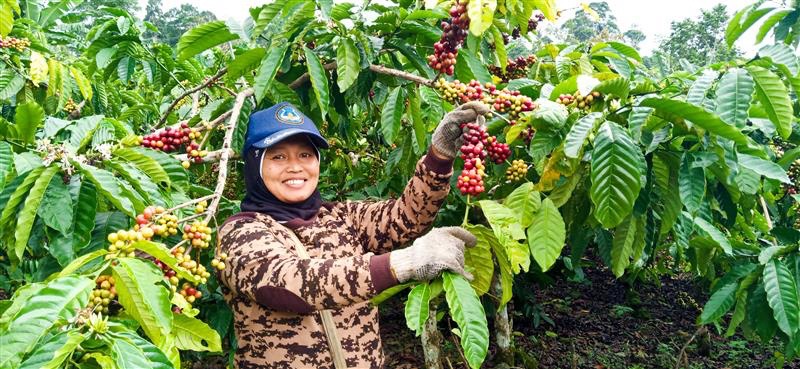 Pemberdayaan Perempuan Melalui Kelompok Wanita Tani