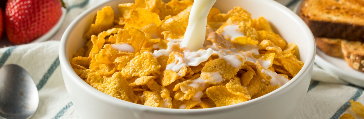 Menu Sarapan Pagi Sehat_Resep Praktis untuk Memulai Hari dengan Baik