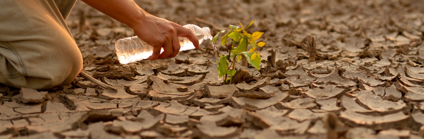 Dampak global warming
