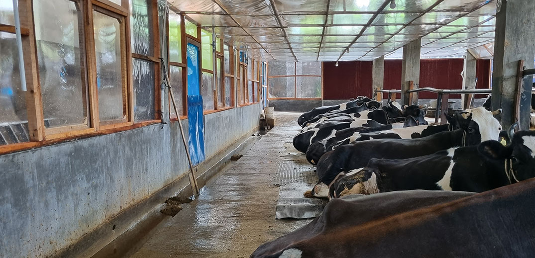 Dairy Barn Img
