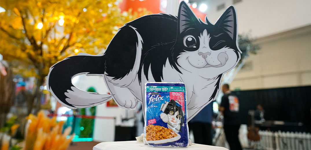 IIPE Felix