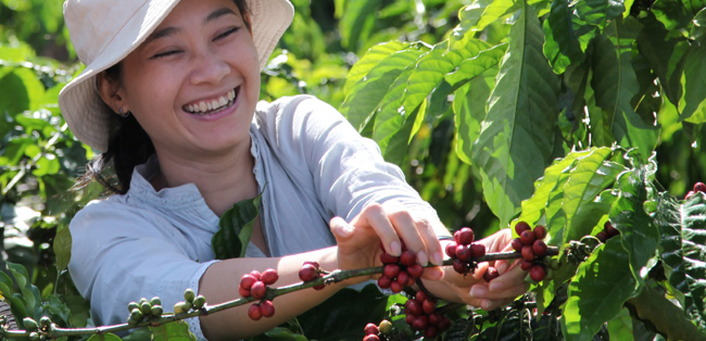 petani kopi perempuan