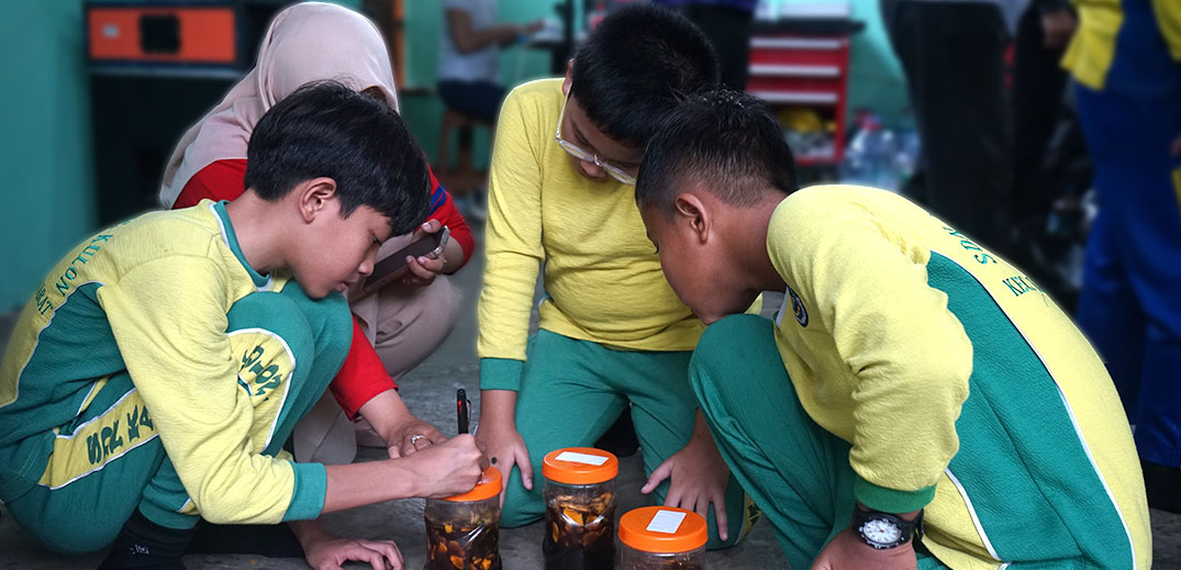 anak enzim