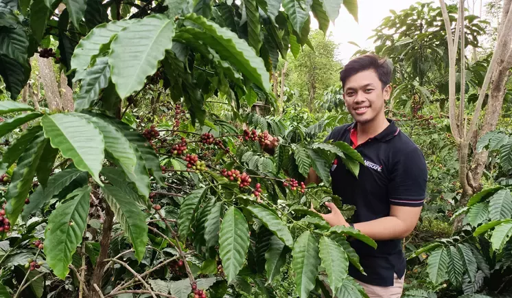 Work and Career at Nestlé | Nestlé Indonesia