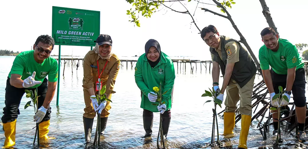 Gerakan Hijau