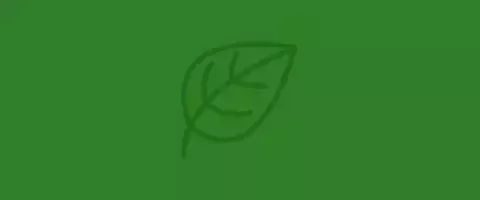 sustainability