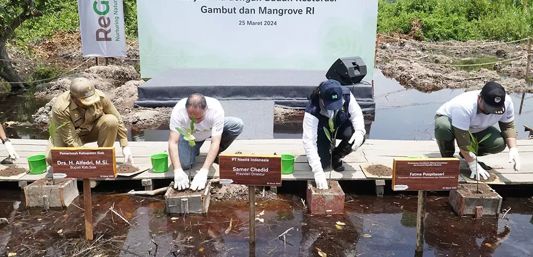 Tanam Mangrove