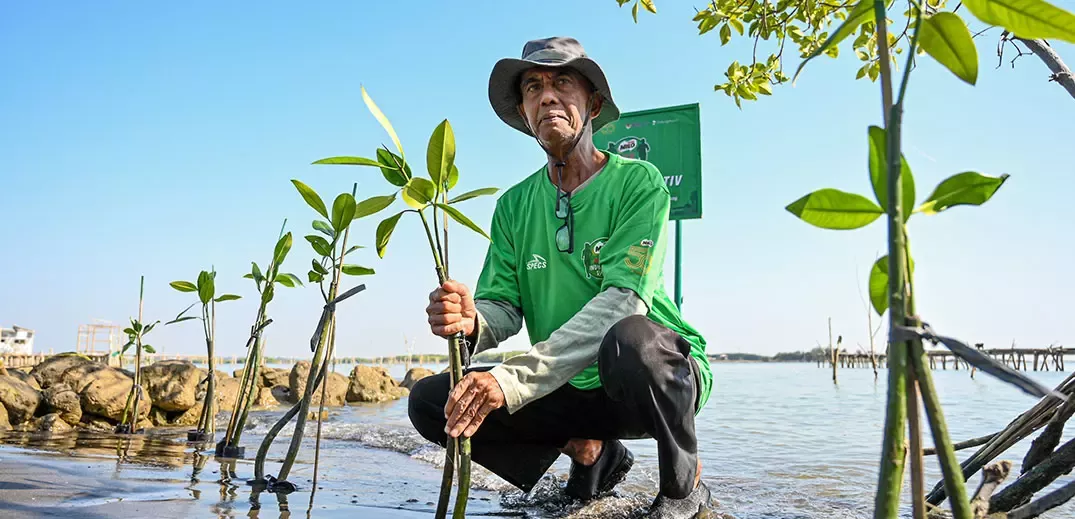 Bapak Sururi