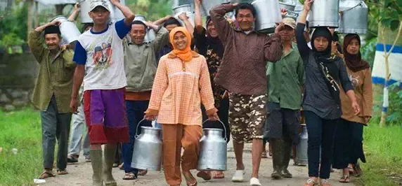 Berbicara tentang manfaat susu di Hari Susu Sedunia